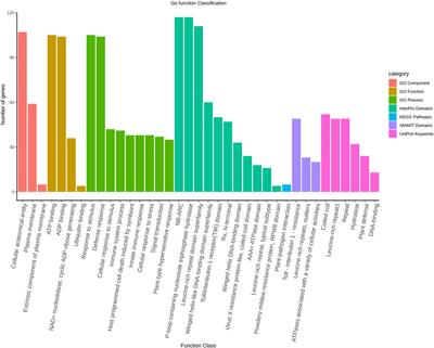 Identification, characterization, and validation of NBS-encoding genes in grass pea